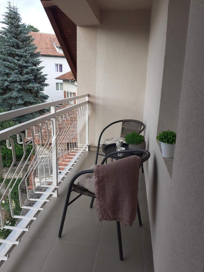M Apartments Sokobanja Buitenkant foto
