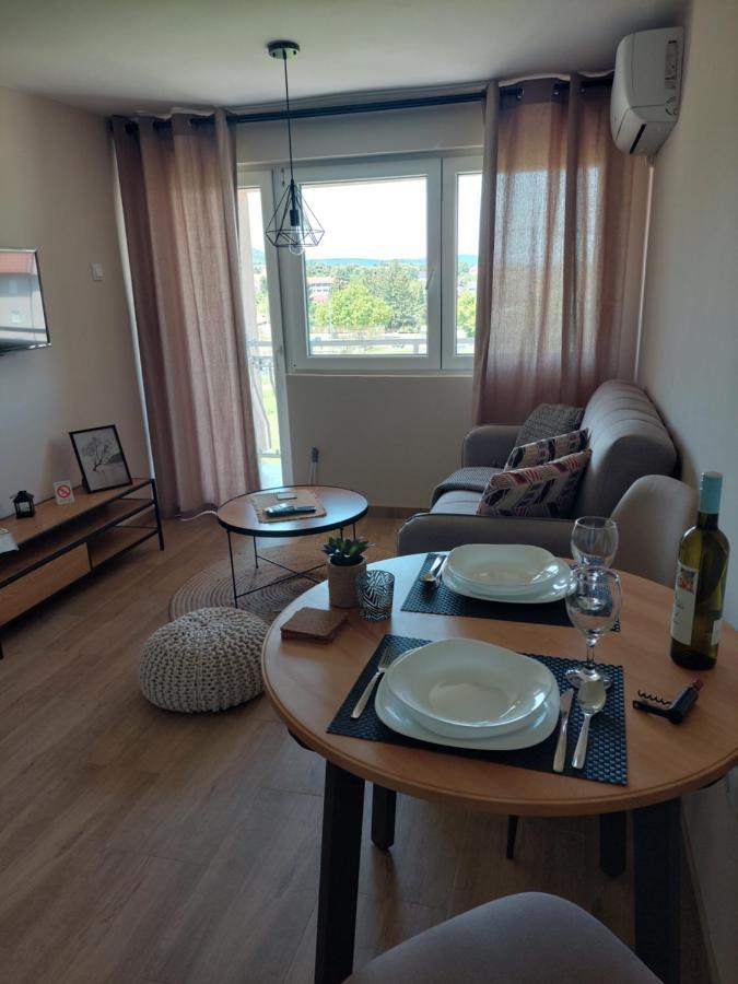 M Apartments Sokobanja Buitenkant foto